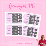 Genvägar PC - bild 1