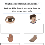 Mitt häfte om substantiv, adjektiv och verb - bild 10