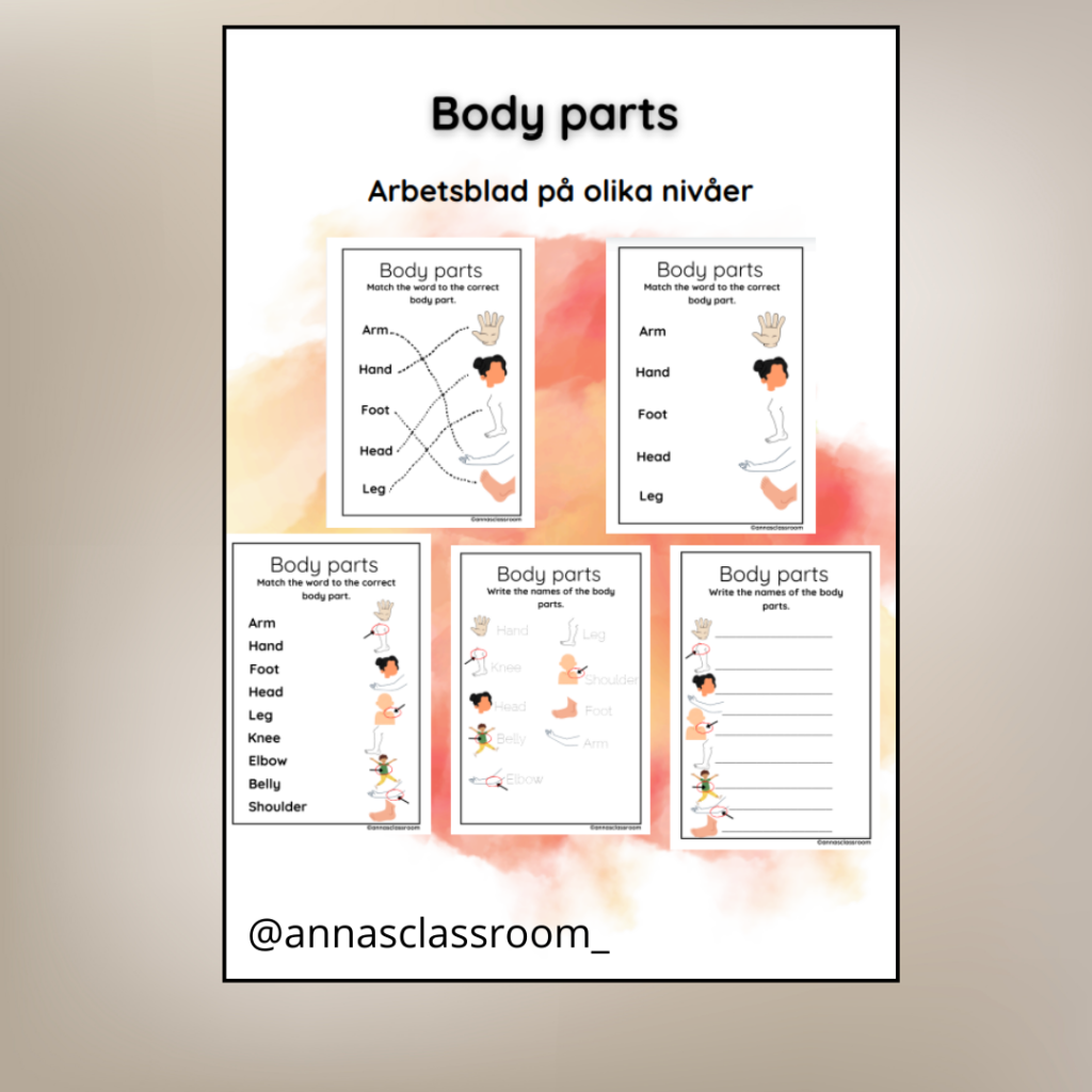English – Body parts