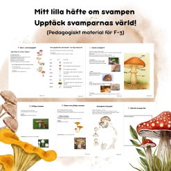 Mitt lilla häfte om svampen – Upptäck svamparnas värld! (Pedagogiskt material för F–3)