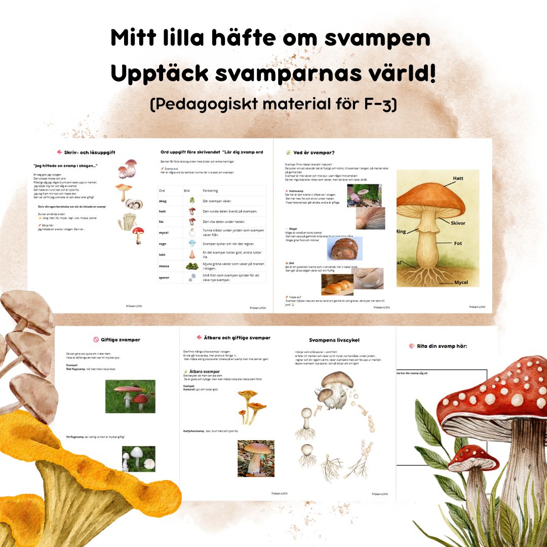 Mitt lilla häfte om svampen – Upptäck svamparnas värld! (Pedagogiskt material för F–3)