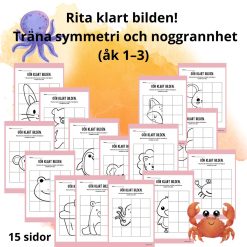 Rita klart bilden! Träna symmetri och noggrannhet (åk 1–3)
