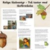 Roliga läsäventyr – Två texter med läsförståelse