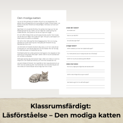 Klassrumsfärdigt: Läsförståelse – Tre berättande texter